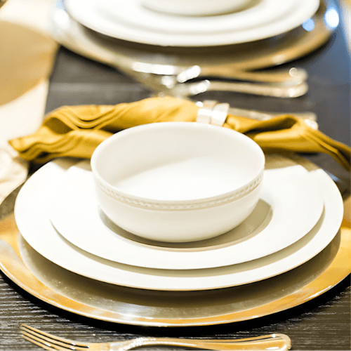 Dinner Plate Set